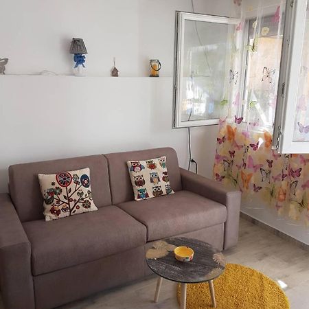Studio Tivat Luaran gambar